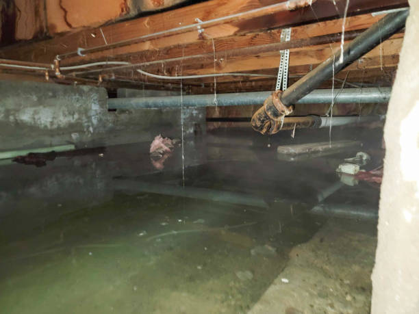 Best Emergency water damage restoration  in Harrisville, UT