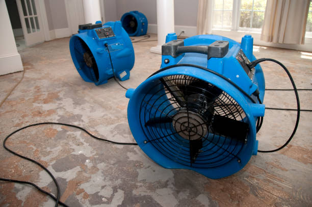 Best Local water damage restoration  in Harrisville, UT