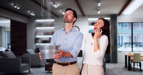Best Water damage cleanup near me  in Harrisville, UT